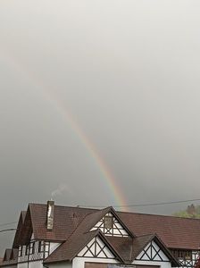 Img.2024.04.24