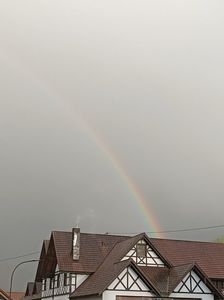 Img.2024.04.24