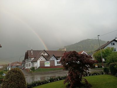 Img.2024.04.24