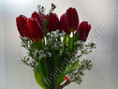 Buchet Lalele 63