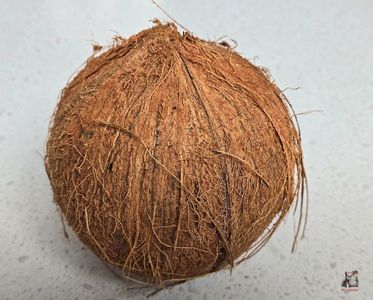 COCO