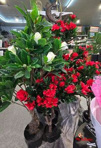Flowers DECO
