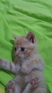 IMG-20240513-WA0018
