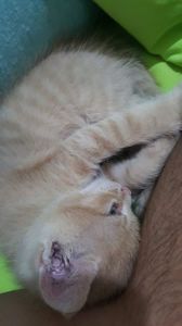 IMG-20240513-WA0036