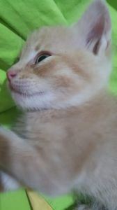 IMG-20240513-WA0038