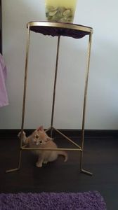 IMG-20240513-WA0089