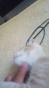 IMG-20240513-WA0104