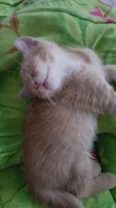 IMG-20240513-WA0124