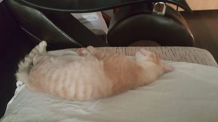 IMG-20240513-WA0186