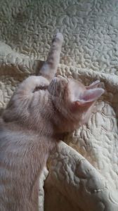 IMG-20240513-WA0185