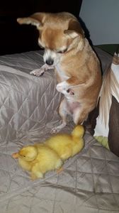 IMG-20240507-WA0002