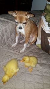 IMG-20240507-WA0001