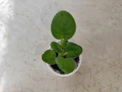 received_482479867677037