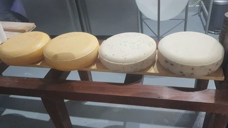 roti colorate 20 iulie