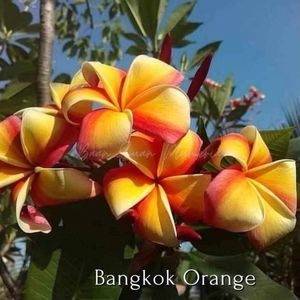 received_302610979563407