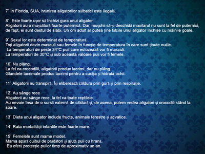 20 de curiozitati despre aligatori