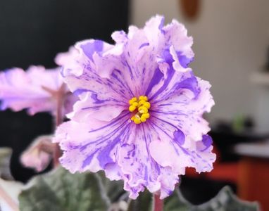18 mai 2024