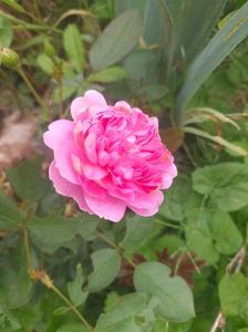 IMG20240519112308