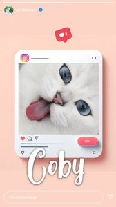 ⊱ ᵖᵒˢᵗᵉᵈ ᵇʸ ↳ ʏᴇʀɪ ⊰