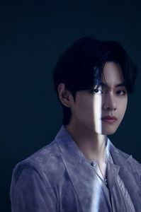 bts (8)