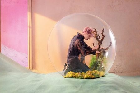 bts (12)
