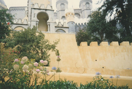 Palatul National  (Palacio da Pena)
