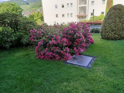 Img.2024.05.19