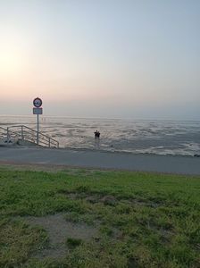 Img.2024.05.23