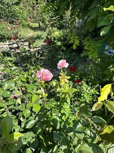 WhatsApp Image 2024-05-25 at 11.37.11_a0ea5fff