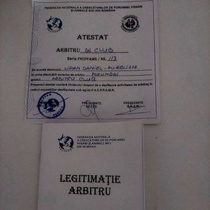 Arbitru Club