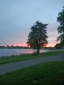 Img.2024.05.21
