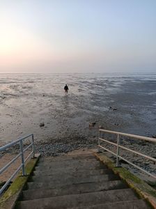Img.2024.05.23