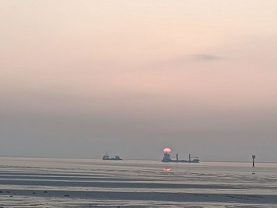 Img.2024.05.23