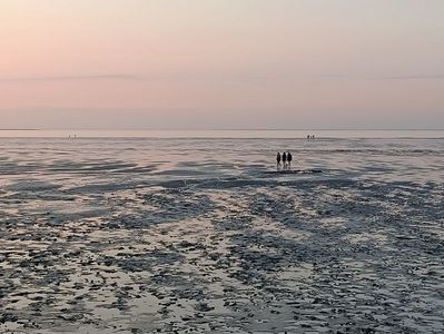 Img.2024.05.25