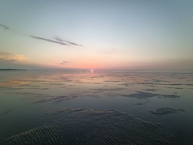 Img.2024.05.25