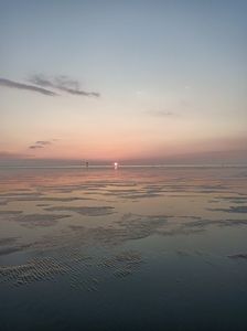 Img.2024.05.25