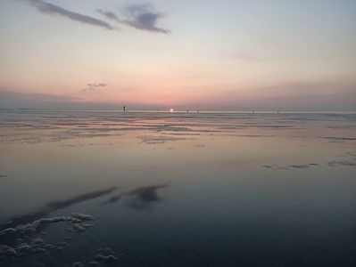 Img.2024.05.25