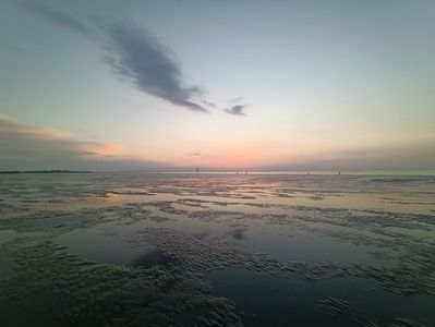 Img.2024.05.25