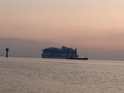 Img.2024.05.25