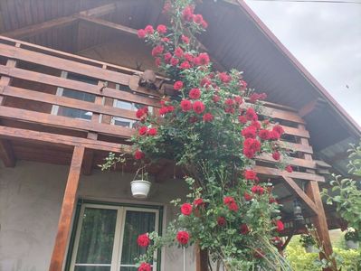 IMG20240523091935