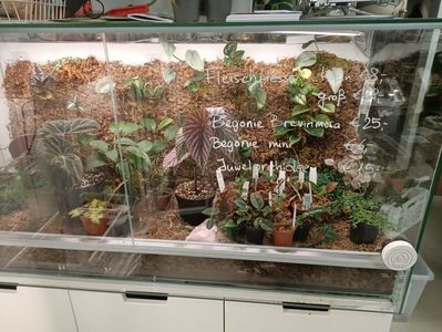 IMG20240527161443