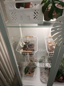 IMG20240527161250