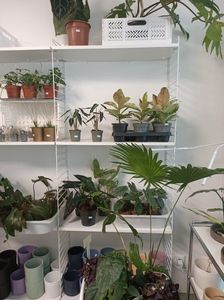 IMG20240527161112