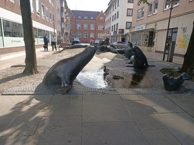 Img.2024.05.27