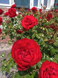 IMG20230608135932