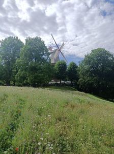 Img.2024.05.30