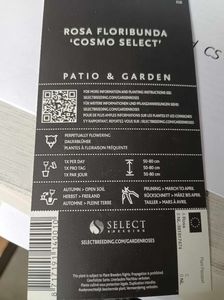 Cosmo Select