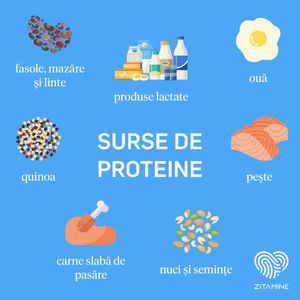 Surse de proteine