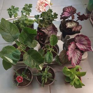 Nu stiu cum am reusit, dar numai peste oameni minunati am dat.; Multumesc cu si din toata inima, nu exista cuvinte sa descriu acest colet. De la generozitate la ambalare... este un vis! Multumesc mereu! ❤️❤️❤️
