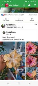 Screenshot_20240530-070516_Facebook